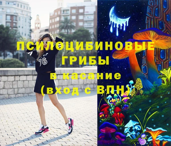герыч Алексин