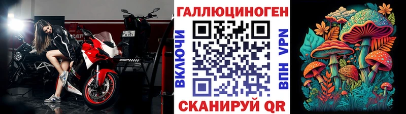 Псилоцибиновые грибы MAGIC MUSHROOMS  blacksprut tor  Стародуб 